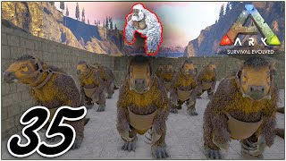 ON S'ATTAQUE AU MÉGAPITHÉCUS #35 Ark Vanilla Objectif finir le jeu 100%