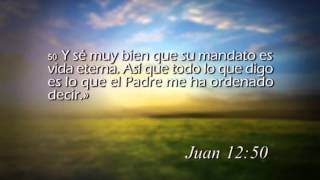 Reavivados por su Palabra - 20/1/2015 - Juan 12