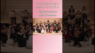 Zigeunerweisenチゴイネルワイゼン　＃violin＃shorts#short #zigeunerweisen #東京文化会館大ホール #orchestra #寺沢希美#ヴァイオリン＃速弾き