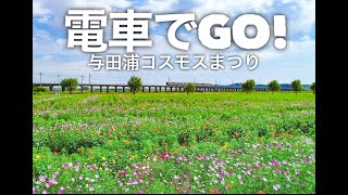 千葉県【電車GO与田浦コスモス】ドローン空撮 4K Drone Japan