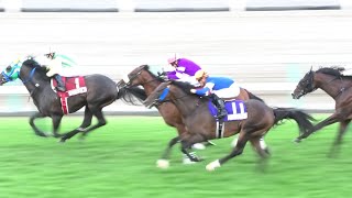 札幌競馬場 12R 2019ワールドオールスタージョッキーズ第4戦　武豊騎手 藤田菜七子騎手　2019/8/25　Panasonicデジタル4KビデオカメラWXF1M撮影映像