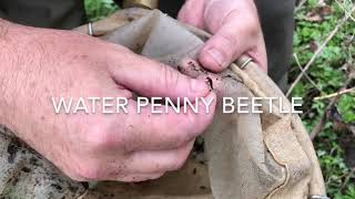 Water quality sampling on the Lackawanna River