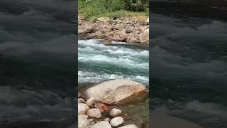 A glimpse of scenic beauty of Naxal Khola near Jaldhaka #shorts_video #hill #riverstream