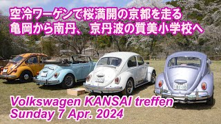 空冷ワーゲンで桜満開の京都を走る 亀岡から南丹、京丹波の質美小学校へ Many VWs drove through Kyoto. VW Kansai Treffen on April 7, 2024