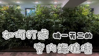 参观拥有一整面绿植墙的梦想之家｜600盆植物的植物墙｜超省心自动浇水系统