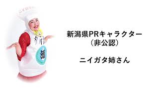 【新潟県PRキャラクター（非公認）　ニイガタ姉さん】佐渡金銀山世界遺産登録応援メッセージ