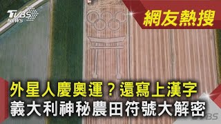 外星人慶奧運？還寫上漢字 義大利神秘農田符號大解密｜TVBS新聞 ｜網友熱搜