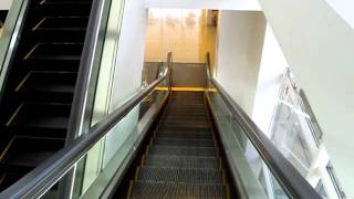 ラゾーナ川崎の東芝エスカレーター 2. Escalator