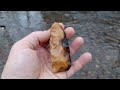 cleansing the creeks of arrowheads ~ missouri arrowhead hunting february 2023 ptownrockhound