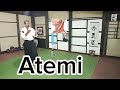 okuri ashi desplazamientos en aikido aikido atemi