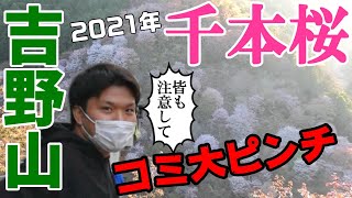 【吉野山の千本桜】絶景の幻想的な世界でコミが大ピンチ！これは皆さんも注意が必要!