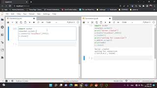 Socket programming with Python-Part 1 || Server Client Programming || Python for Beginner ||