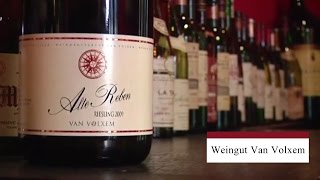 Weingut Van Volxem