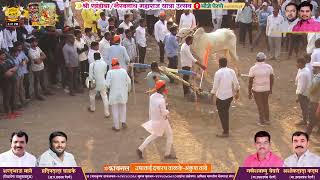 श्री खंडोबा/भैरवनाथ महाराज यात्रा उत्सव पेरणे २०२५ दुसरा दिवस फायनलच्या सर्व बाऱ्या