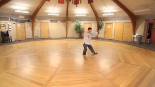 Tung Tai Chi Chuan ~Tung Family Slow Set~