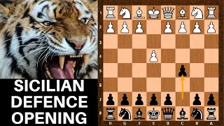 CHESS OPENINGS TUTORIAL : ULTIMATE Sicilian Defense GUIDE for BEGINNERS!