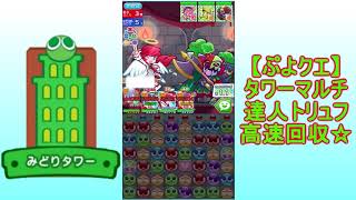 【ぷよクエ】実況　タワーマルチ　みどり　トリュフ高速回収♪