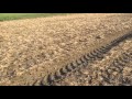 Blackgrass control on heavy land with Spring crops and delayed drilling of w wheat.