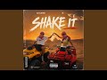 SHAKE IT