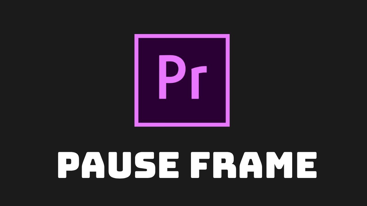 Pause Frame Premiere Pro Cc Infoupdate Org