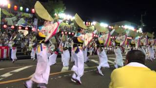 ゑびす連　鳴門市阿波おどり2013