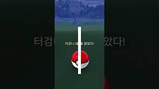 터검니 이로치(색이다른)/포켓몬 고/Pokémon GO