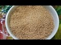 फॉक्सटेल मिलेट foxtail millet ककुम कंगनी मिलेट हम किसे कहते है और उससे जुड़े तथ्य अन्न को पहचाने