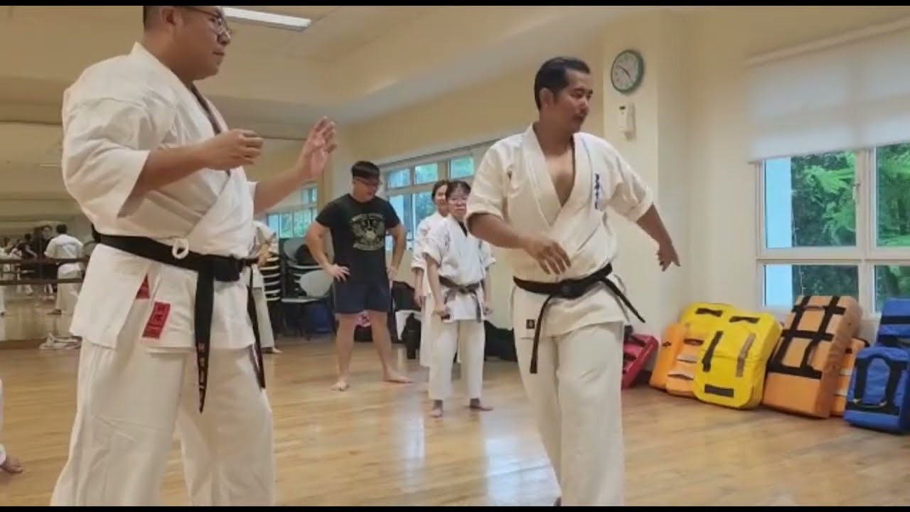 Ashihara Karate: Details On Positioning For Kihon No Kata Ichi - YouTube