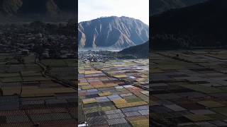 Pemandangan luar biasa sawah dan ladang desa Sembalun di bawah bayangan gunung Rinjani #wisataalam