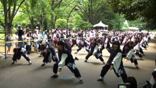 よさこい光が丘2012 ～ 早稲田大学 踊り侍