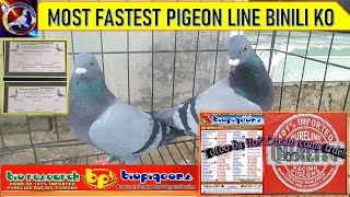 BIO PIGEON BIO RESEARCH MOST FASTEST PIGEON LINE, BINILI KO!