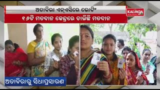 Odisha: Election In Attabira NACs Today || KalingaTV