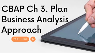 Ch 3  Plan Business Analysis Approach