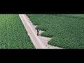 農家民宿えづらファーム～イメージ映像～　farm stay ezura farm pv by drone