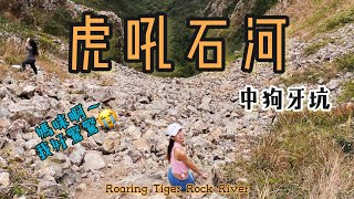 【廢廢挑戰記EP5】動魄驚心『虎吼石河+中狗牙坑+中狗牙』香港行山Vlog｜行山路線分享｜Roaring Tiger Rock River｜暴走少女 hikercherry｜航拍｜ #虎吼石河