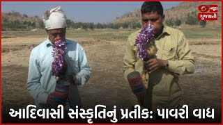 Dang : આદિવાસી સાંસ્કૃતિક કાર્યક્રમમાં વગાડવામાં આવતું પાવરી વાદ્ય