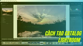 Hướng dẫn sử dụng Lightroom cơ bản trên máy tính (Catalog Lightroom) #14