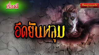 อึดยันหลุม-เรื่องเล่าจากอาโป