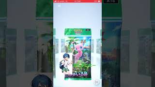 毎日更新ポケポケ開封チャレンジ！