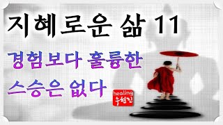 [지혜로운 삶 #11] - 경험보다 훌륭한 스승은 없습니다