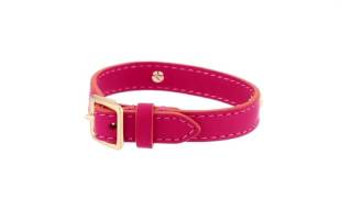 COACH - Leather Buckle Coach Plaque Bracelet  SKU:8891107