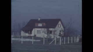 Zürich-Affoltern 1944/45 (Farbfilm), Furttalstrasse 81 und Siedlung Furttalstrasse 83-113