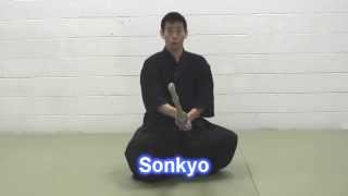12 Kendo Basics I -  Sonkyo