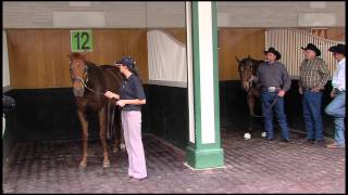 Mine That Bird and Funny Cide beneath the Twin Spires