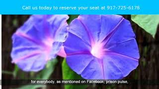 Bus Service To Upstate Correctional Facility Malone NY | Prison Bus Family Transport NY Malone