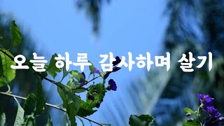 보통의 날들이 사실은 천국이다