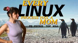 Linux Process management: ps pstree kill top
