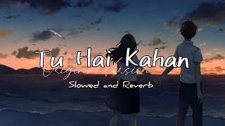 Jaise Phool Tode Honge | Tu Hai Kahan Original Version Song Slowed and Reverb lofi