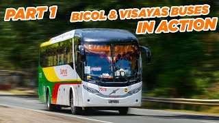 QUEZON PROVINCE BUS SPOTTING | Part 1 | Buses To Manila, Calabarzon, Bicol, and Eastern Visayas