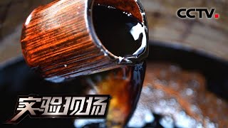 医用酒精如何判断有效浓度？酿造酱油怎样一招分辨真假？20210411 |《实验现场》CCTV科教